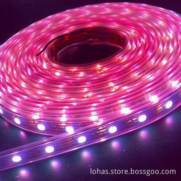 Red flexible LED strips with SMD 5050, 18-22lm/LED, 30pcs/M, CE and RoHs Mark,200m2 aging area